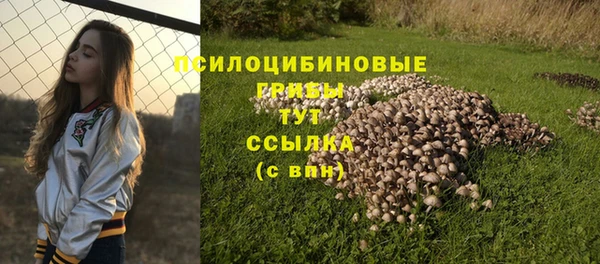 амф Абинск