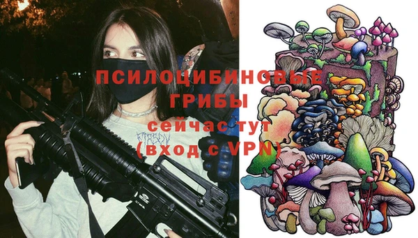 мдпв Абаза